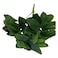 Artificial Green Leaves
