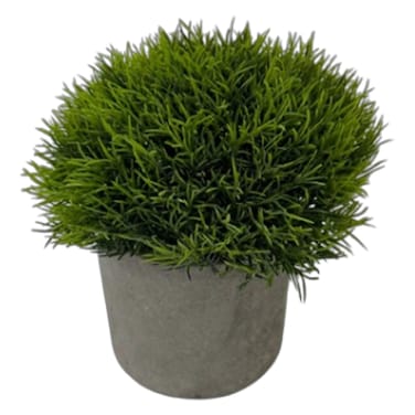 Artifcal Plant Plus Pot