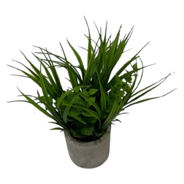 Artifcal Plant Plus Pot