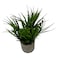 Artifcal Plant Plus Pot