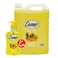 Cameo Liquid Soap Exotic 4L + 500ML Free