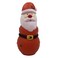 Pro Care Big Santa Toy