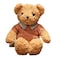 Plush Toy Five Star Sweater Bear 40CM