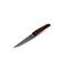 Schnieder Steak Knife +Handle