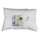 1 Pillow 50X75CM 700GR+Case Free