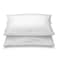 1 Pillow 50X75CM 700GR + 1 Pillow