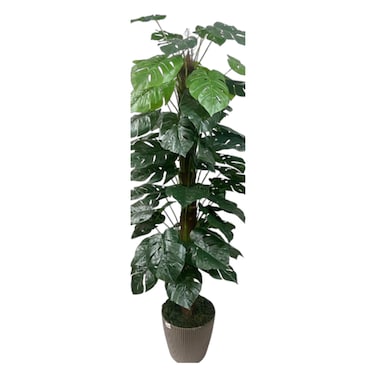 Artificial Plant