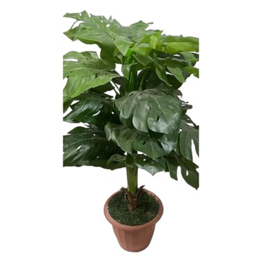 Artificial Plant