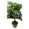 Artificial Plant