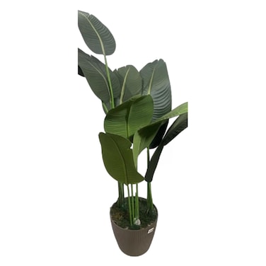 Artificial Plant