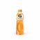 Gatorade Orange Pet Zero 250ML