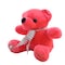 Bear Key Chain