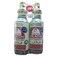 Flash Bowl Disinfectant Mint 2X1L 20% Off