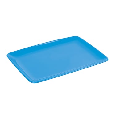 Rectangular Plastic Serving Plate Small