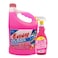 Easy Glass Clean Pink 4L+825ML Free
