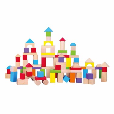 Viga 100 Pcs Block Set