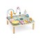 Multi-Function Activity Table