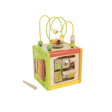 5 In 1 Activity Cube