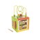 5 In 1 Activity Cube