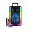 Gts Speaker With Mic 15'' Rgb