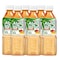 Vinut Aloe Vera Mango 500Ml X6