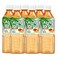 Vinut Aloe Vera Mango 500Ml X6