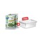 Ocean Garden Okra 400GRX2+Plastic Container