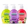 Elsada Hand Liquid Soap 440ML 2+1 Free Assorted