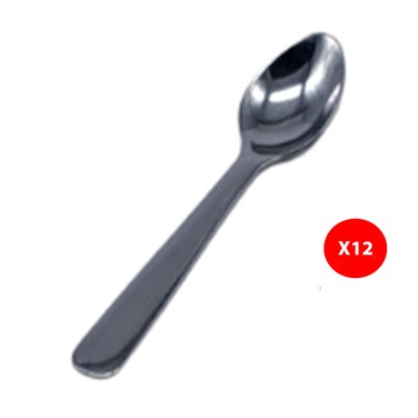 Casalinga Stainless Steel Moch Spoon 22/12 Pieces