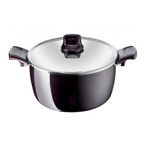 Tefal Resist  Stewpot 22CM