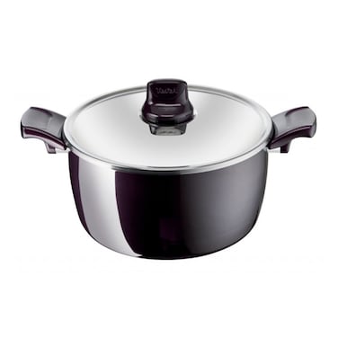Tefal Resist  Stewpot 24CM