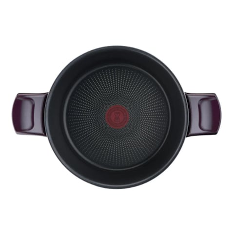 Tefal Resist  Stewpot 26CM