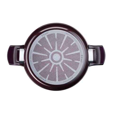 Tefal Resist  Stewpot 26CM
