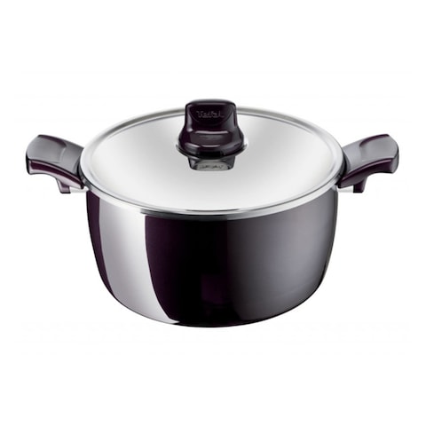 Tefal Resist  Stewpot 26CM