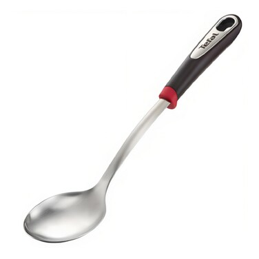 Tefal Ingenio Spoon