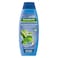 Palmolive Shampoo Anti Fall And Dandruff 380ML