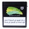 Fakher Grape Mint 1KG