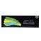 Fakher Gum Mint 50GRX10
