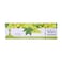 Mazaya Grape Mint 50GRX10