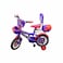 Bike 16Inch Bmx Stitch Girl