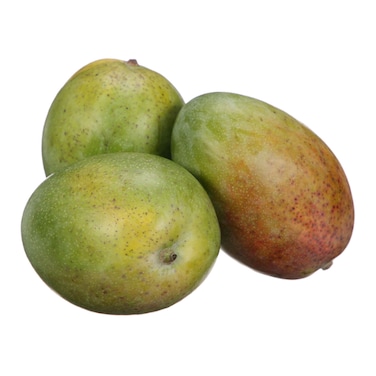 Mango Egyptian Keitt