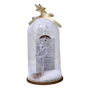 11X20CM Transparetn Dome