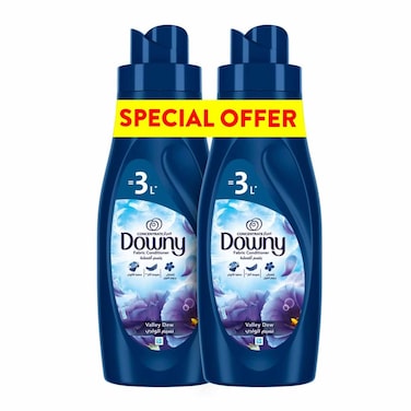 Downy Concentrate Valley 1LX2 Special Price
