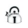Stainless Steel Kettle 2L