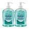 Malizia Anti Bacterial 500MLX2