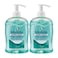 Malizia Anti Bacterial 500MLX2