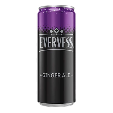Evervess Ginger Ale Can 250ML
