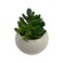 Artificial Cactus P839