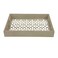 Transparent With Wood Tray