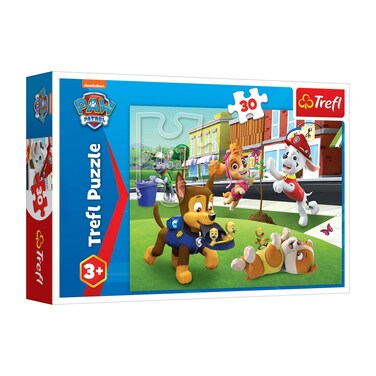 Dogs In Action Viacom Paw Patro